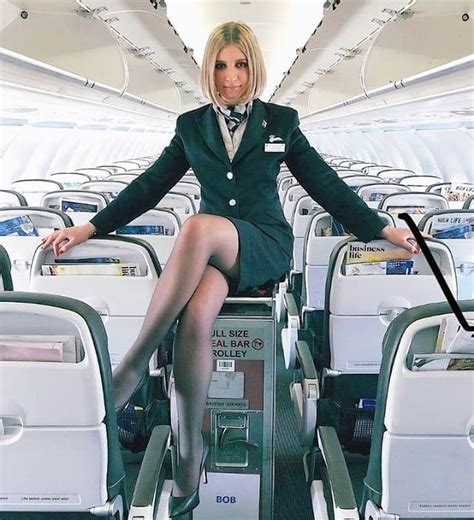 steward porn|stewardess.